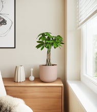 Load image into Gallery viewer, Sandy Pink