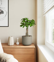 Load image into Gallery viewer, Sage Green