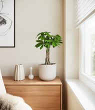 Load image into Gallery viewer, Natural Bamboo