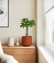 Load image into Gallery viewer, Earth Red