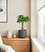 Load image into Gallery viewer, Iron Gray