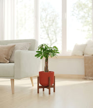 Load image into Gallery viewer, Earth Red stand:walnut