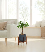 Load image into Gallery viewer, Iron Gray stand:walnut