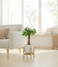 Load image into Gallery viewer, Natural Bamboo stand:bamboo