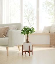 Load image into Gallery viewer, Natural Bamboo stand:walnut