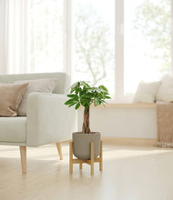 Load image into Gallery viewer, Sage Green stand:bamboo