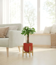 Load image into Gallery viewer, Earth Red stand:bamboo