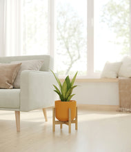 Load image into Gallery viewer, Sunset Orange stand:bamboo