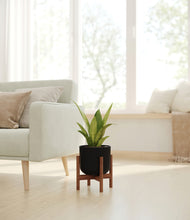 Load image into Gallery viewer, Stone Black stand:walnut