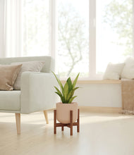 Load image into Gallery viewer, Sandy Pink stand:walnut