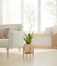 Load image into Gallery viewer, Sandy Pink stand:bamboo