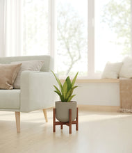 Load image into Gallery viewer, Sage Green stand:walnut