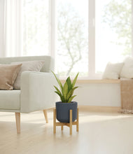 Load image into Gallery viewer, Iron Gray stand:bamboo