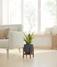 Load image into Gallery viewer, Iron Gray stand:walnut