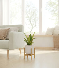 Load image into Gallery viewer, Natural Bamboo stand:bamboo