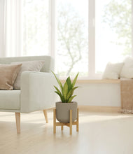 Load image into Gallery viewer, Sage Green stand:bamboo