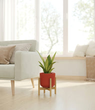 Load image into Gallery viewer, Earth Red stand:bamboo