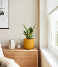 Load image into Gallery viewer, Sunset Orange