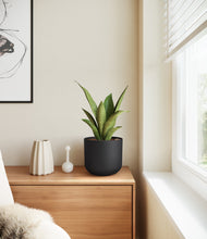 Load image into Gallery viewer, Stone Black