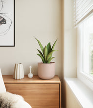 Load image into Gallery viewer, Sandy Pink