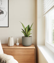 Load image into Gallery viewer, Sage Green