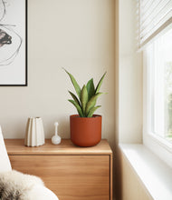 Load image into Gallery viewer, Earth Red