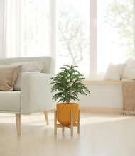 Load image into Gallery viewer, Sunset Orange stand:bamboo