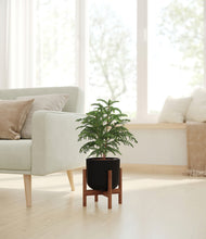 Load image into Gallery viewer, Stone Black stand:walnut