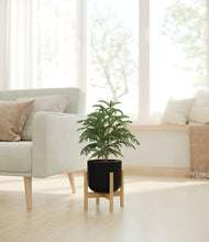 Load image into Gallery viewer, Stone Black stand:bamboo