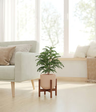 Load image into Gallery viewer, Sandy Pink stand:walnut