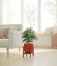 Load image into Gallery viewer, Earth Red stand:walnut