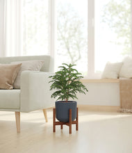 Load image into Gallery viewer, Iron Gray stand:walnut