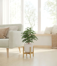 Load image into Gallery viewer, Natural Bamboo stand:bamboo