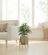 Load image into Gallery viewer, Sage Green stand:bamboo