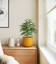 Load image into Gallery viewer, Sunset Orange