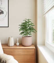 Load image into Gallery viewer, Sandy Pink