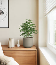 Load image into Gallery viewer, Sage Green