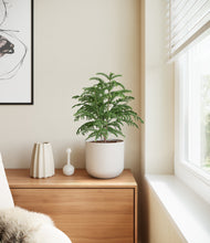 Load image into Gallery viewer, Natural Bamboo