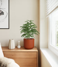 Load image into Gallery viewer, Earth Red