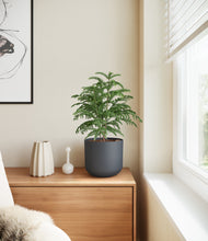 Load image into Gallery viewer, Iron Gray