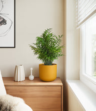 Load image into Gallery viewer, Sunset Orange