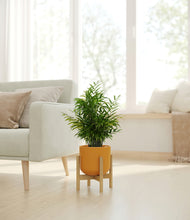 Load image into Gallery viewer, Sunset Orange stand:bamboo