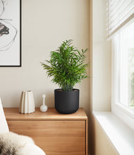 Load image into Gallery viewer, Stone Black