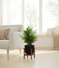 Load image into Gallery viewer, Stone Black stand:walnut