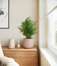 Load image into Gallery viewer, Sandy Pink