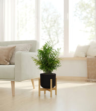 Load image into Gallery viewer, Stone Black stand:bamboo