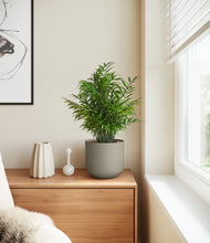 Load image into Gallery viewer, Sage Green