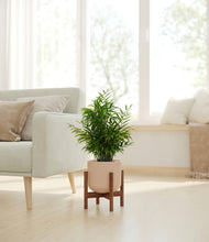 Load image into Gallery viewer, Sandy Pink stand:walnut