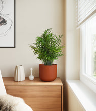 Load image into Gallery viewer, Earth Red