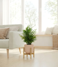 Load image into Gallery viewer, Sandy Pink stand:bamboo